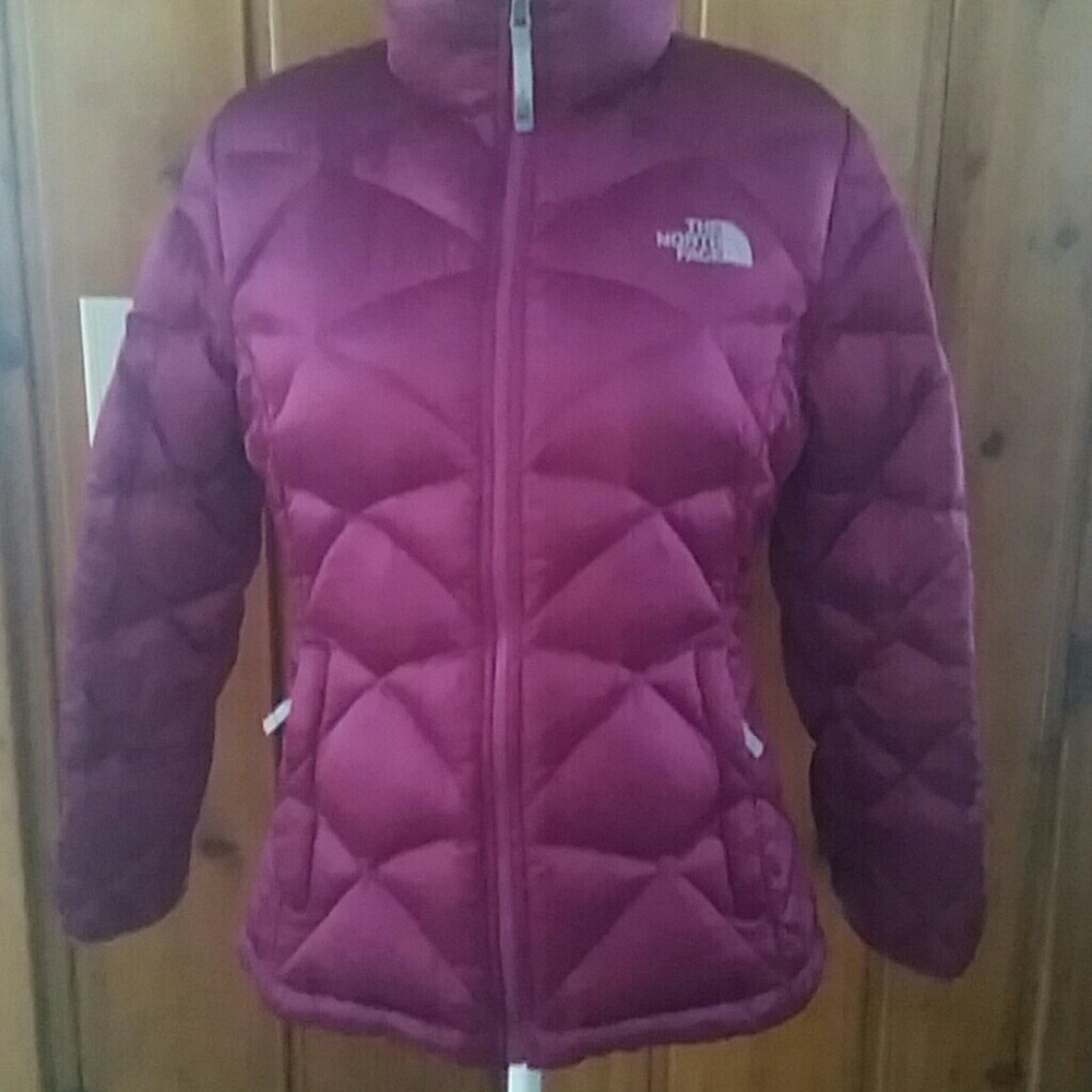 North Face Winter Jacket